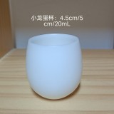 20mL